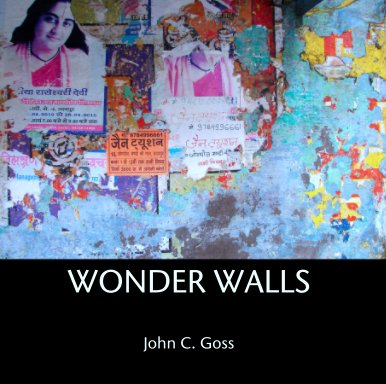 Wonder Walls book cover