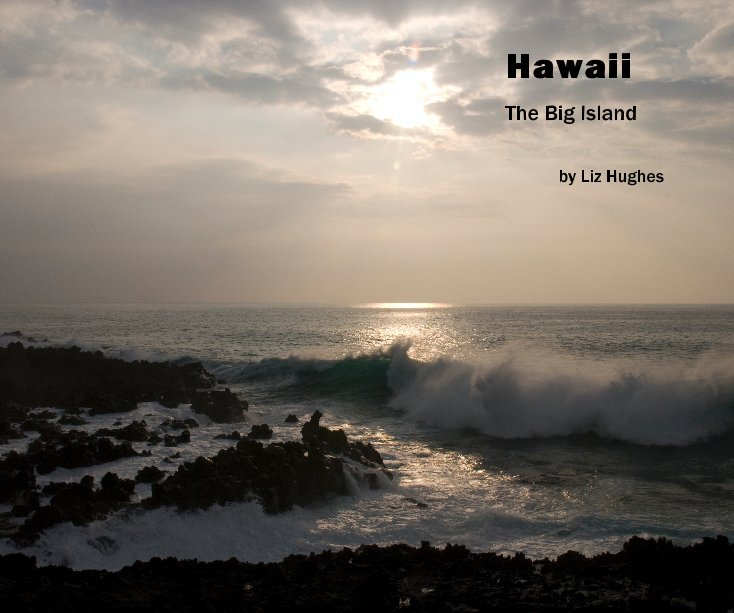 View Hawaii by Liz Hughes