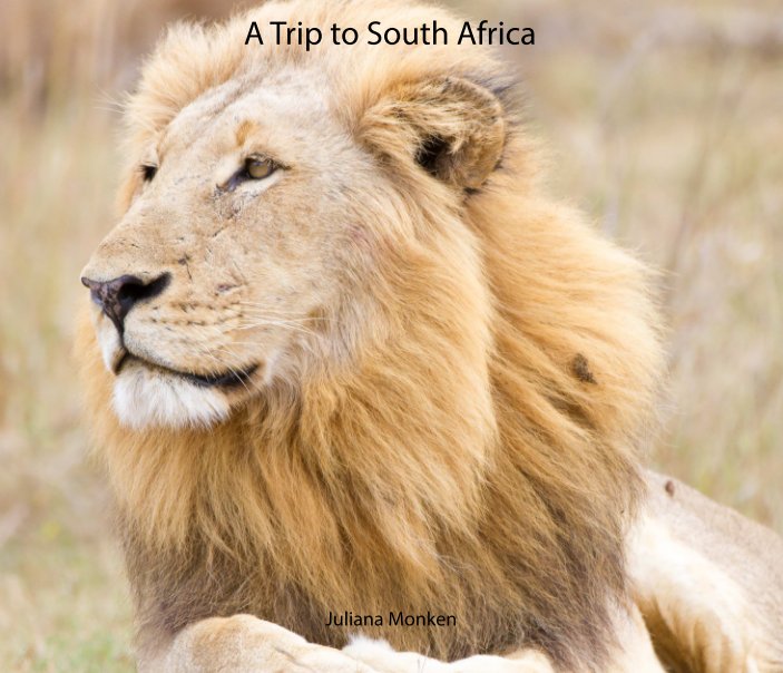Ver A Trip to South Africa por Juliana Monken