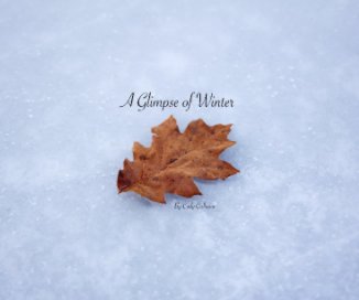 A Glimpse of Winter book cover