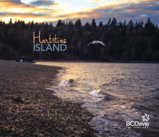 Hartstine Island book cover