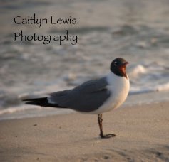 Caitlyn Lewis  Photography book cover