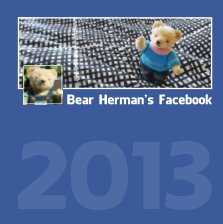 Bear Herman's Facebook 2013 book cover