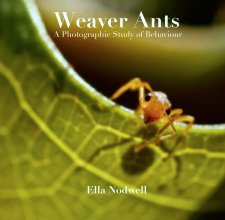 Weaver Ants
 A Photographic Study of Behaviour book cover