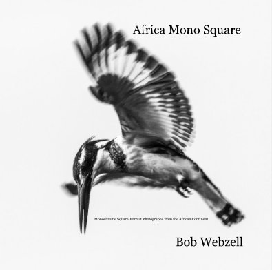 Africa Mono Square book cover