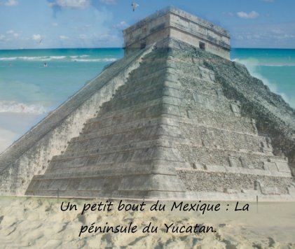 Un petit bout du Mexique : La péninsule du Yucatan. book cover
