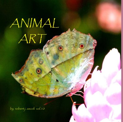 ANIMAL ART book cover