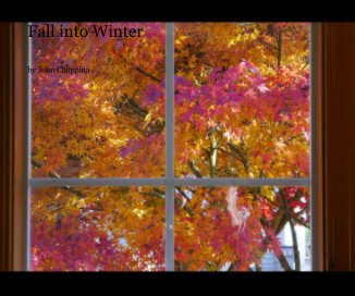 Fall into Winter book cover
