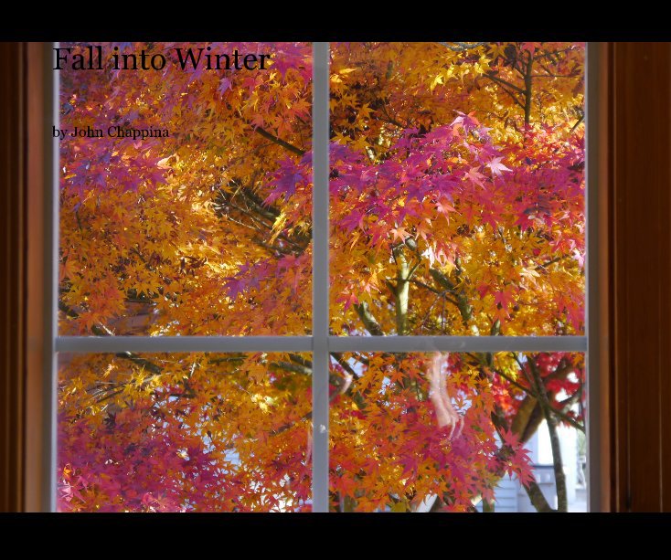 Ver Fall into Winter por John Chappina