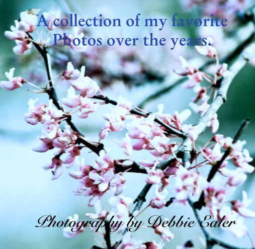 Ver A collection of my favorite Photos over the years. por Photography by Debbie Ealer