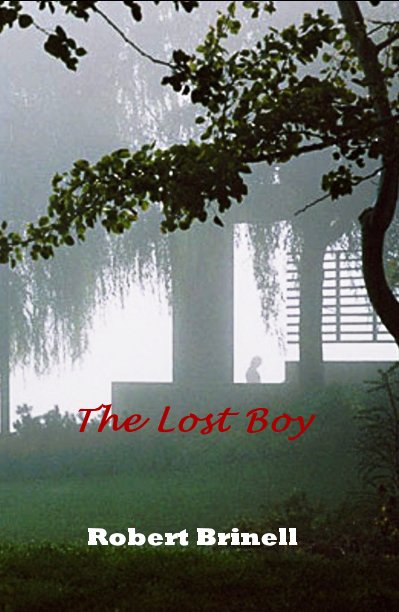 View The Lost Boy by Robert Brinell