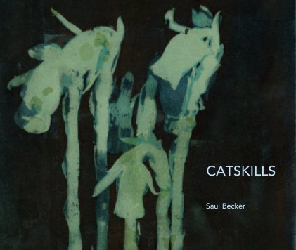 CATSKILLS book cover