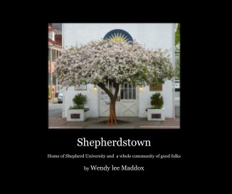 Shepherdstown book cover