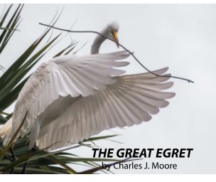 The Great Egret book cover