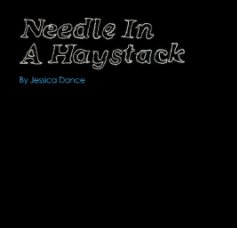 Needle In A haystack book cover
