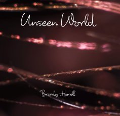 Unseen World book cover