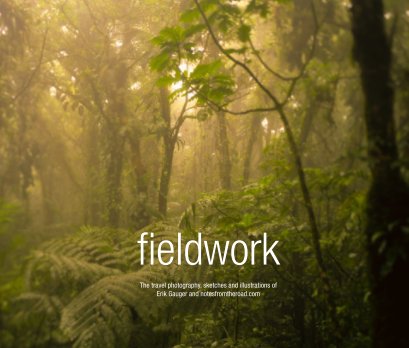 Fieldwork book cover