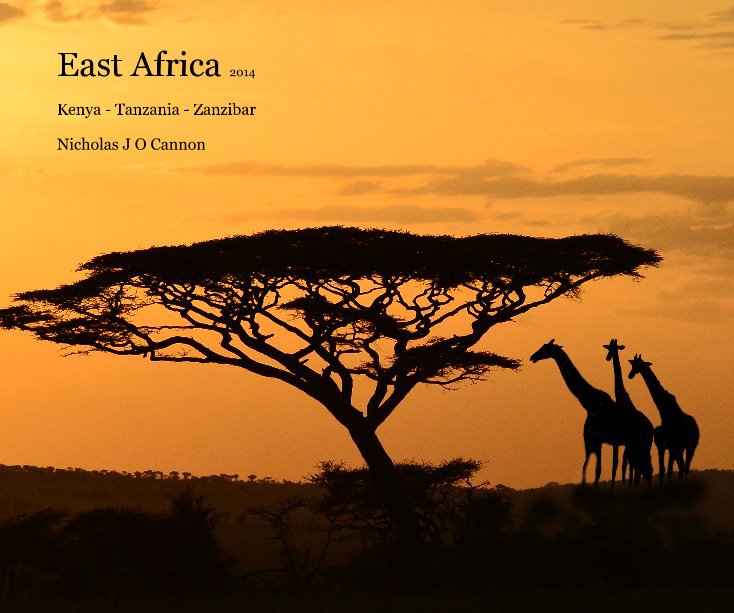 View East Africa 2014 by Nicholas J O Cannon