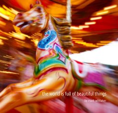 the world is full of beautiful things book cover