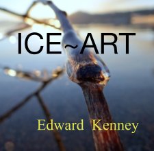Rare  ICE~ART book cover