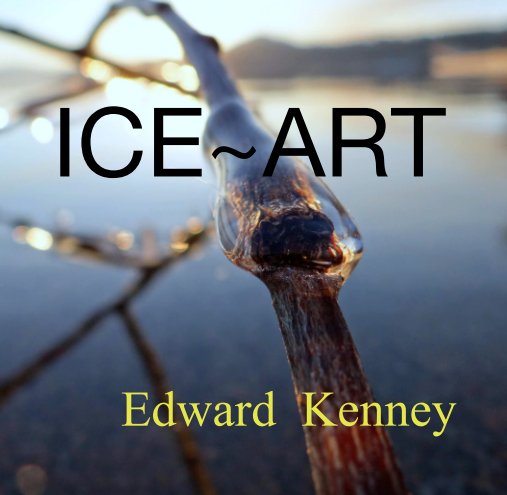 Ver Rare  ICE~ART por Edward  Kenney