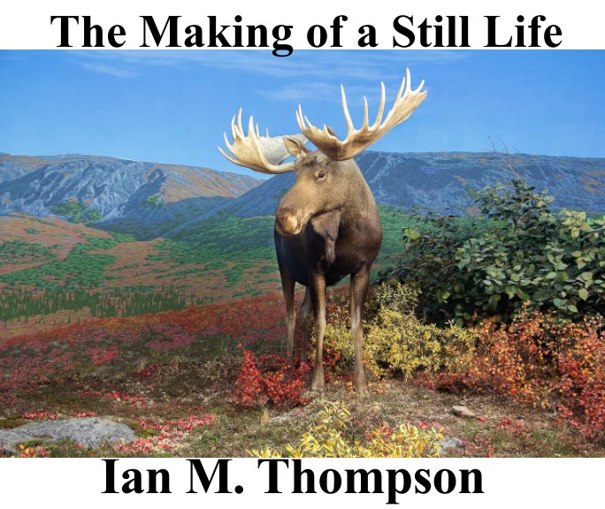 View The Making of a Still Life by Ian M. Thompson
