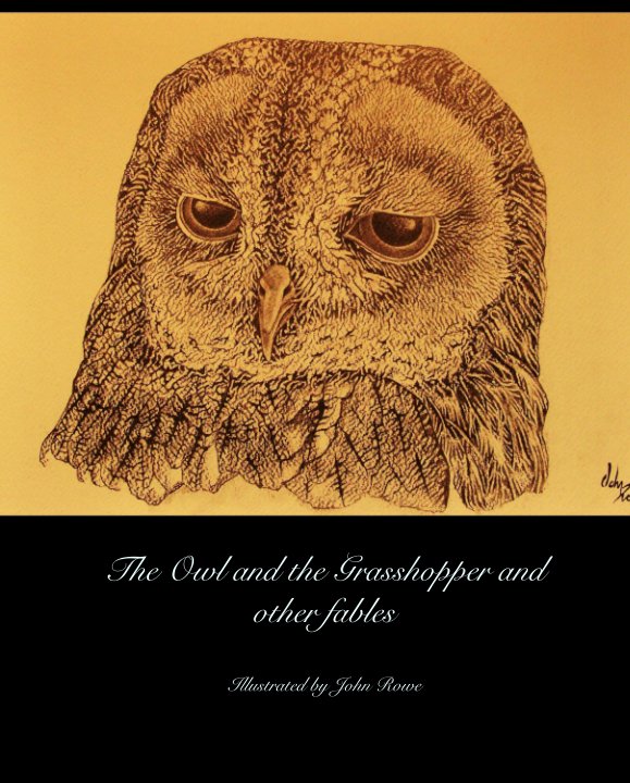 View The Owl and the Grasshopper and other fables by Illustrated by John Rowe