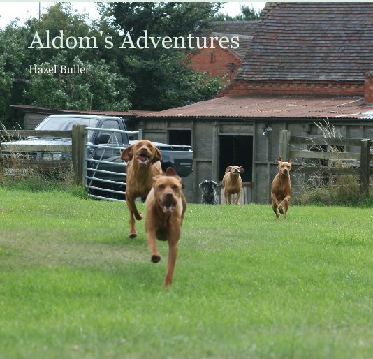 View Aldom's Adventures by Hazel Buller
