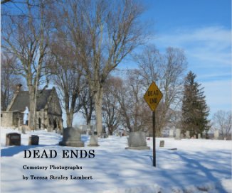 DEAD ENDS book cover