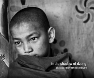 in the shadow of dzong book cover