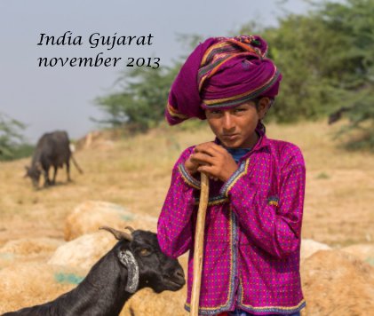 India Gujarat november 2013 book cover