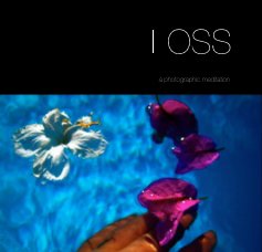 LOSS book cover