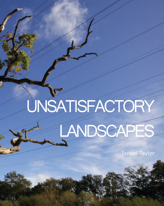 View Unsatisfactory Landscapes by Isobel Taylor