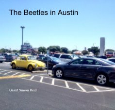 The Beetles in Austin book cover
