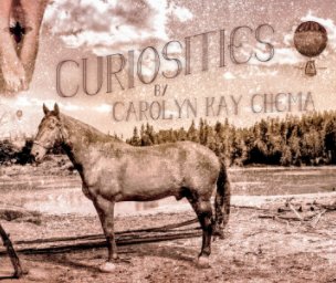 Curiosities book cover