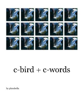 c-bird + c-words book cover