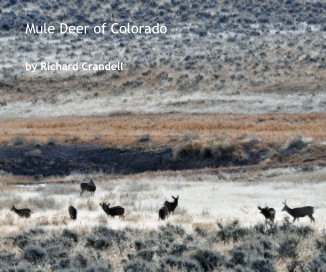 Mule Deer of Colorado book cover