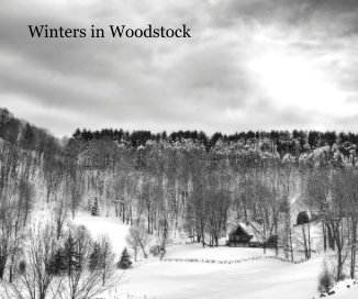 Winters in Woodstock book cover