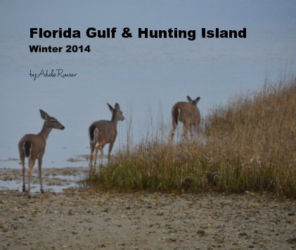 Florida Gulf & Hunting Island Winter 2014 book cover