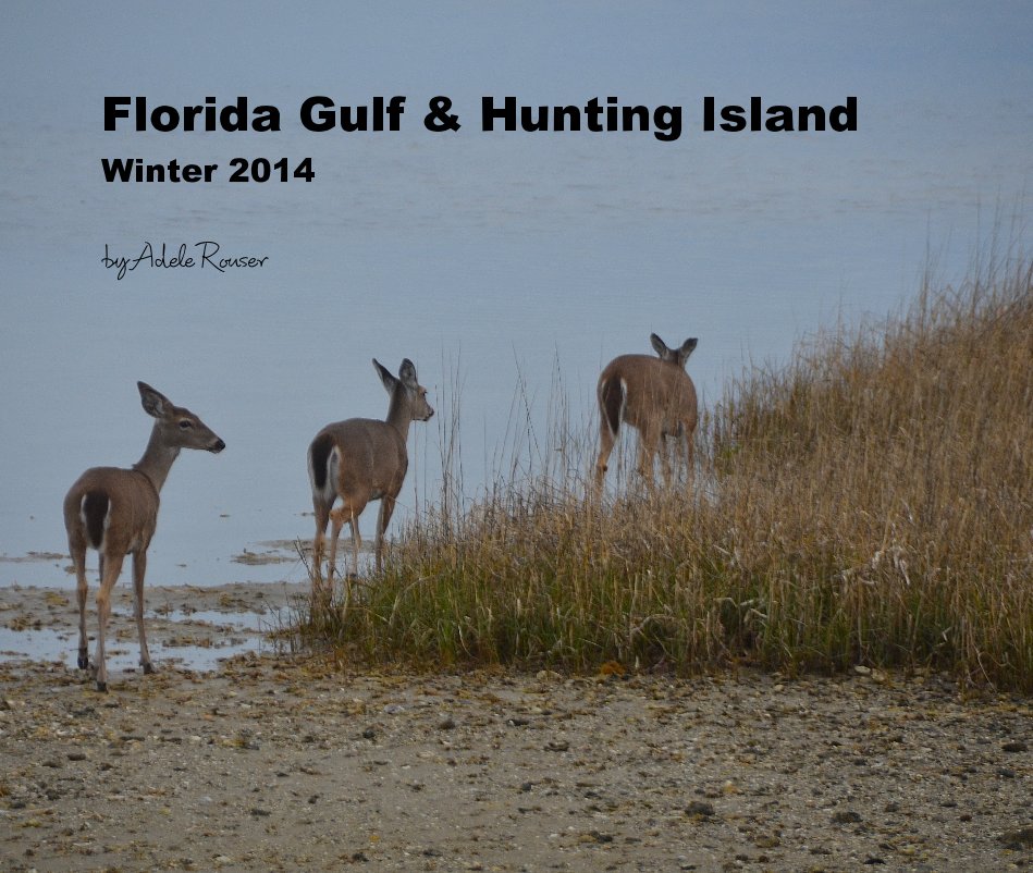 View Florida Gulf & Hunting Island Winter 2014 by Adele Rouser