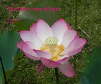 The Subtle Scent of Spirit book cover