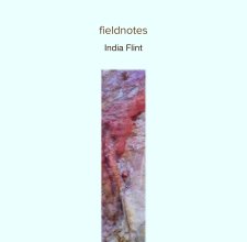 fieldnotes book cover