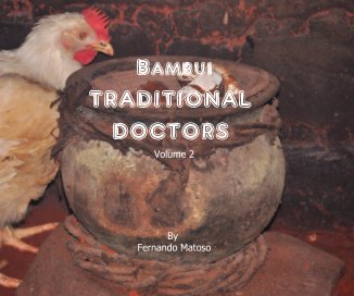 Traditional Doctors book cover