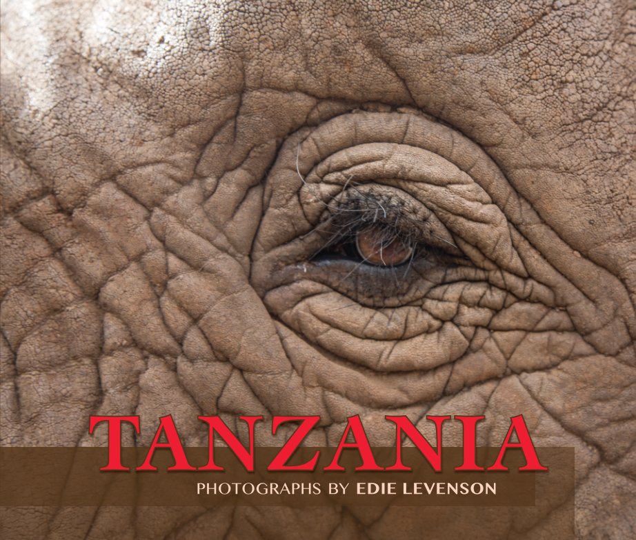 View Tanzania by Edie Levenson