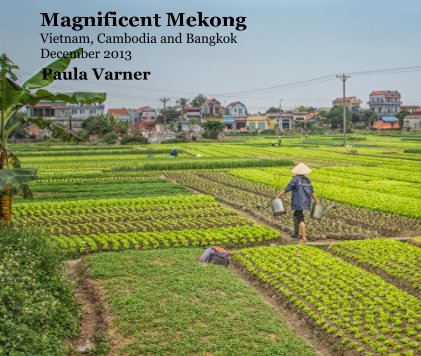 Magnificent Mekong Vietnam, Cambodia and Bangkok December 2013 book cover