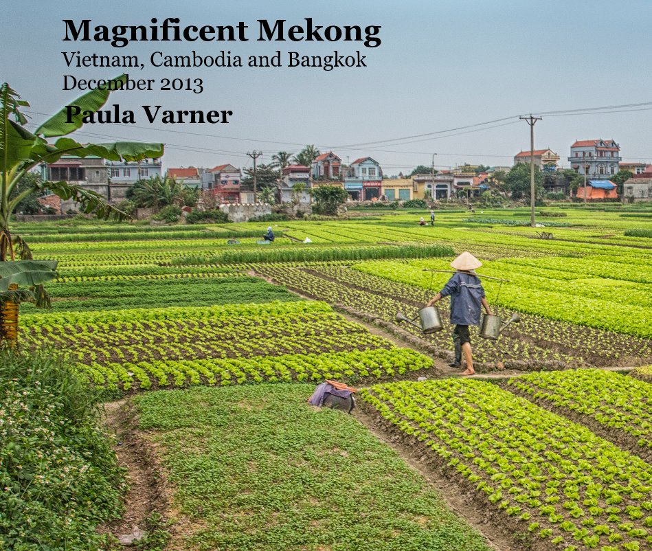View Magnificent Mekong Vietnam, Cambodia and Bangkok December 2013 by Paula Varner