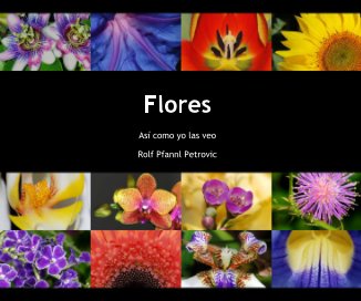 Flores book cover