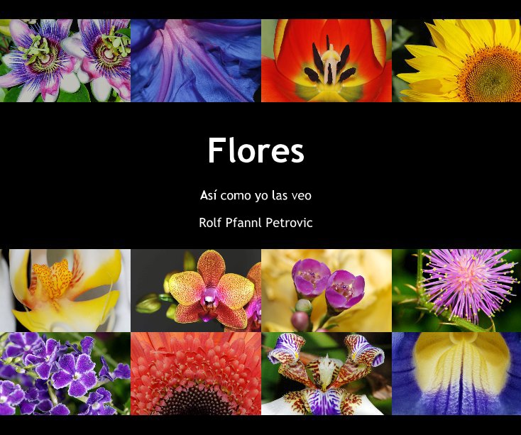 Ver Flores por Rolf Pfannl Petrovic