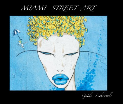 MIAMI STREET ART book cover