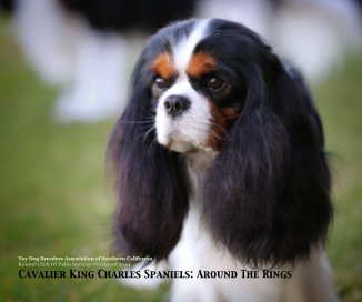 Cavalier King Charles Spaniels: Around The Rings book cover